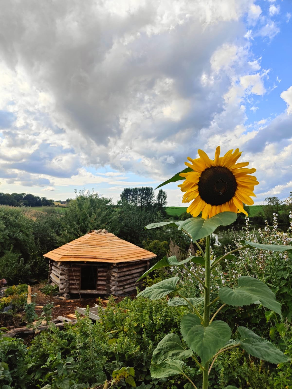 B2F8DAF1-C282-4920-B267-685DC5D2C4A3.jpeg (Copy)