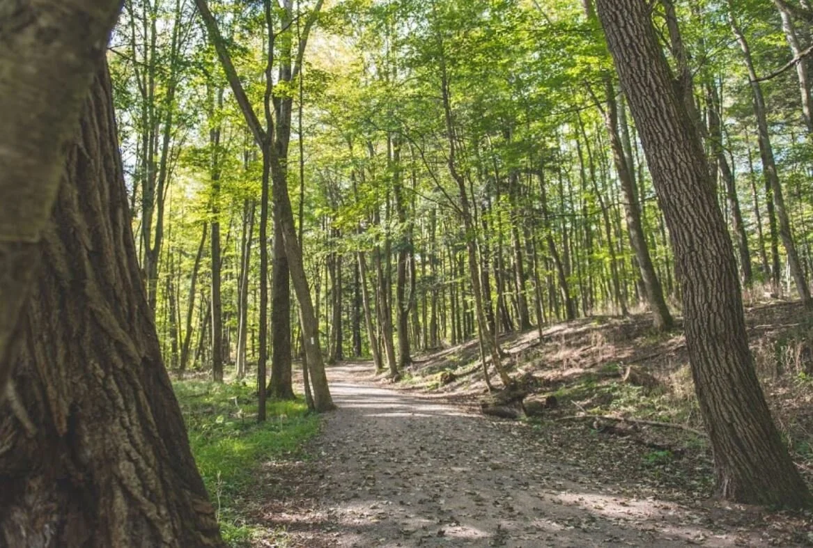 More problems for Conservation Authorities