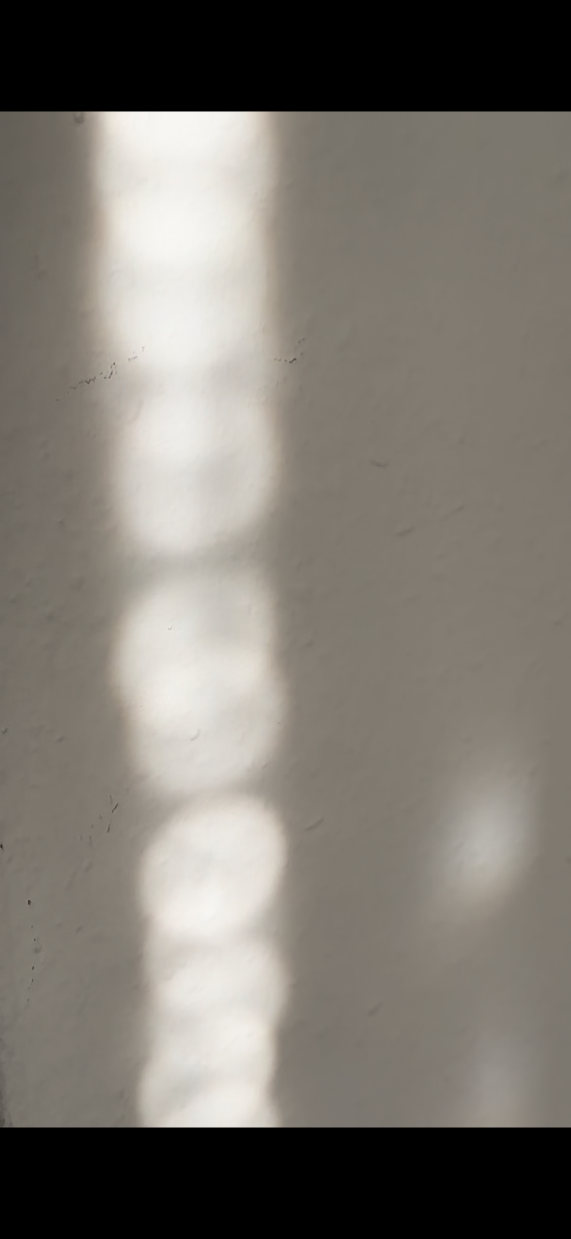 IMG_3543.PNG