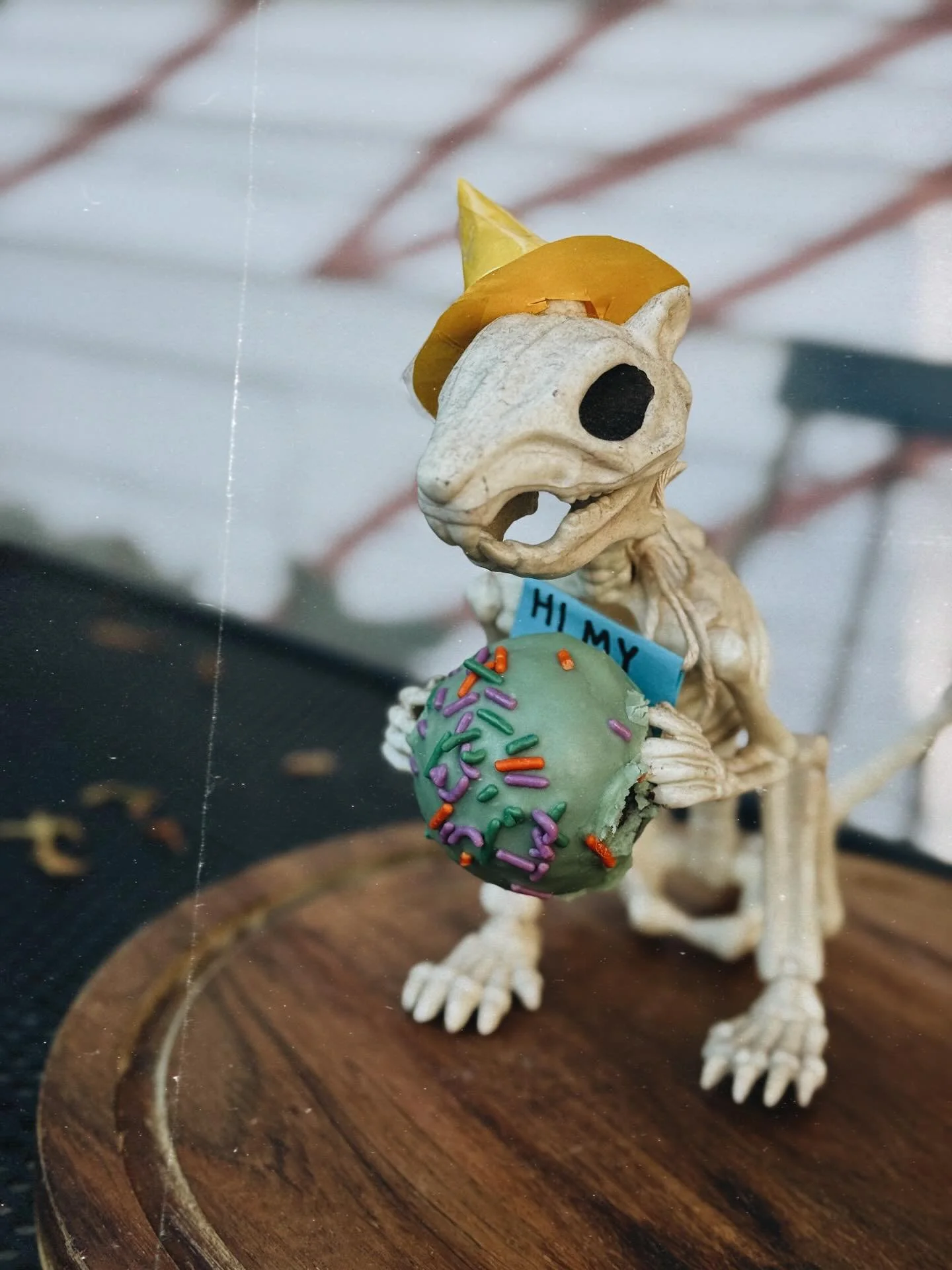 THINGS ARE SPOOKY!

Now thru Friday find allllll the themed treats at the shop!

Here til 5 today! See ya soon!!