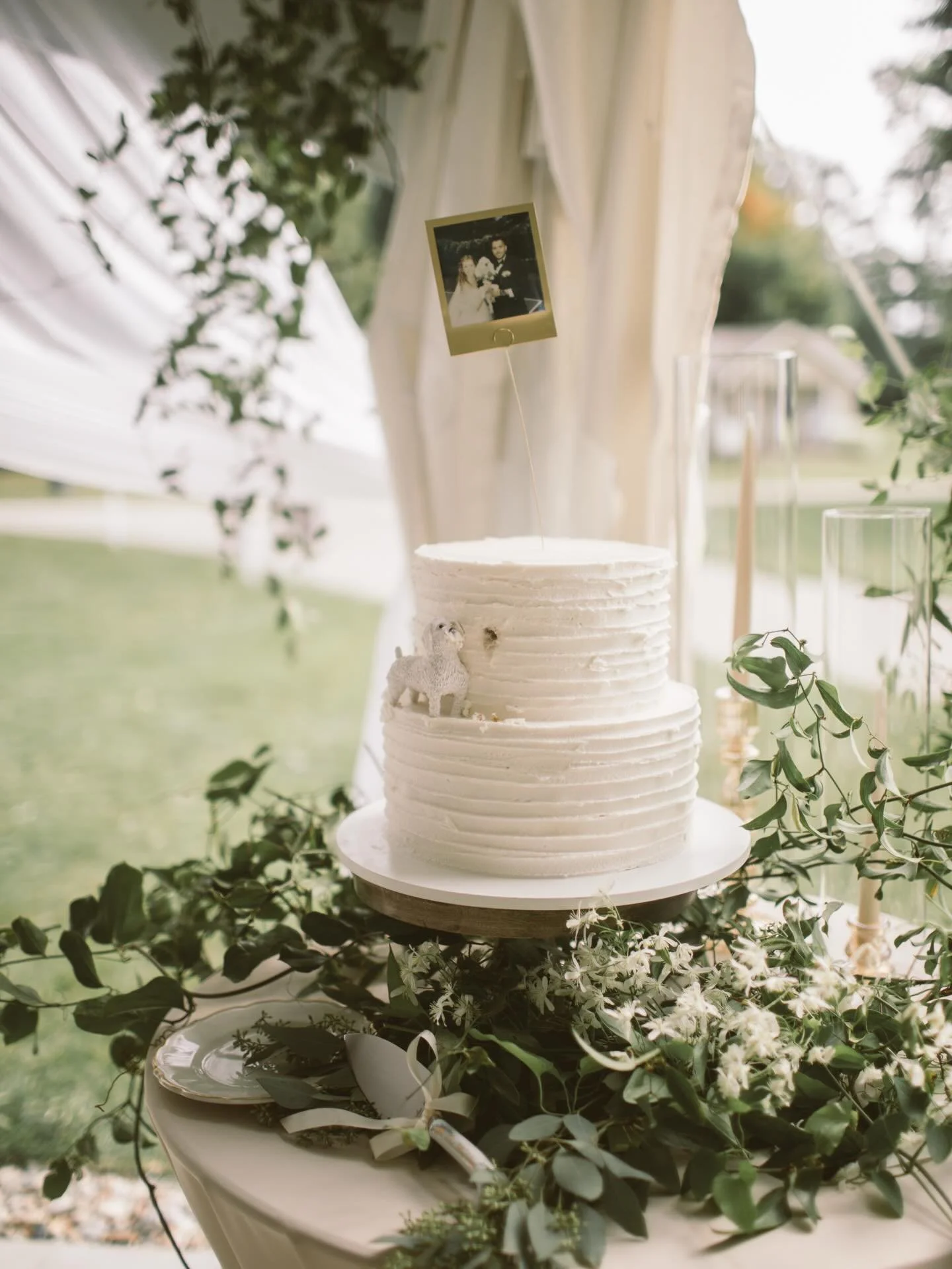 In the thick of wedding planning?
Let us help with dessert!

We&rsquo;ve got a mini expo coming up on 1/25 where you can talk with our wedding coordinator and cake decorator, try some cake and other desserts, and start the planning process! 

Swipe f