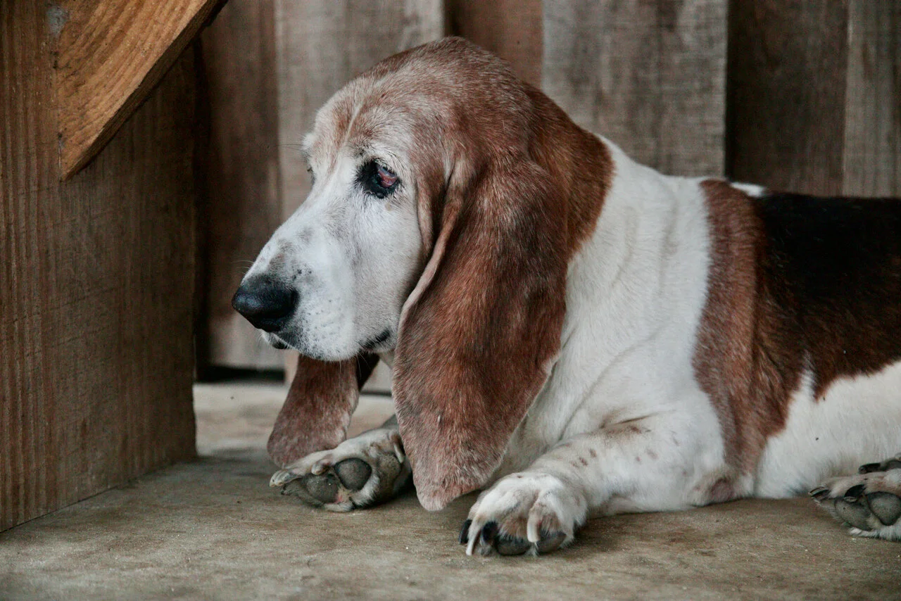 Happenings at the Ranch