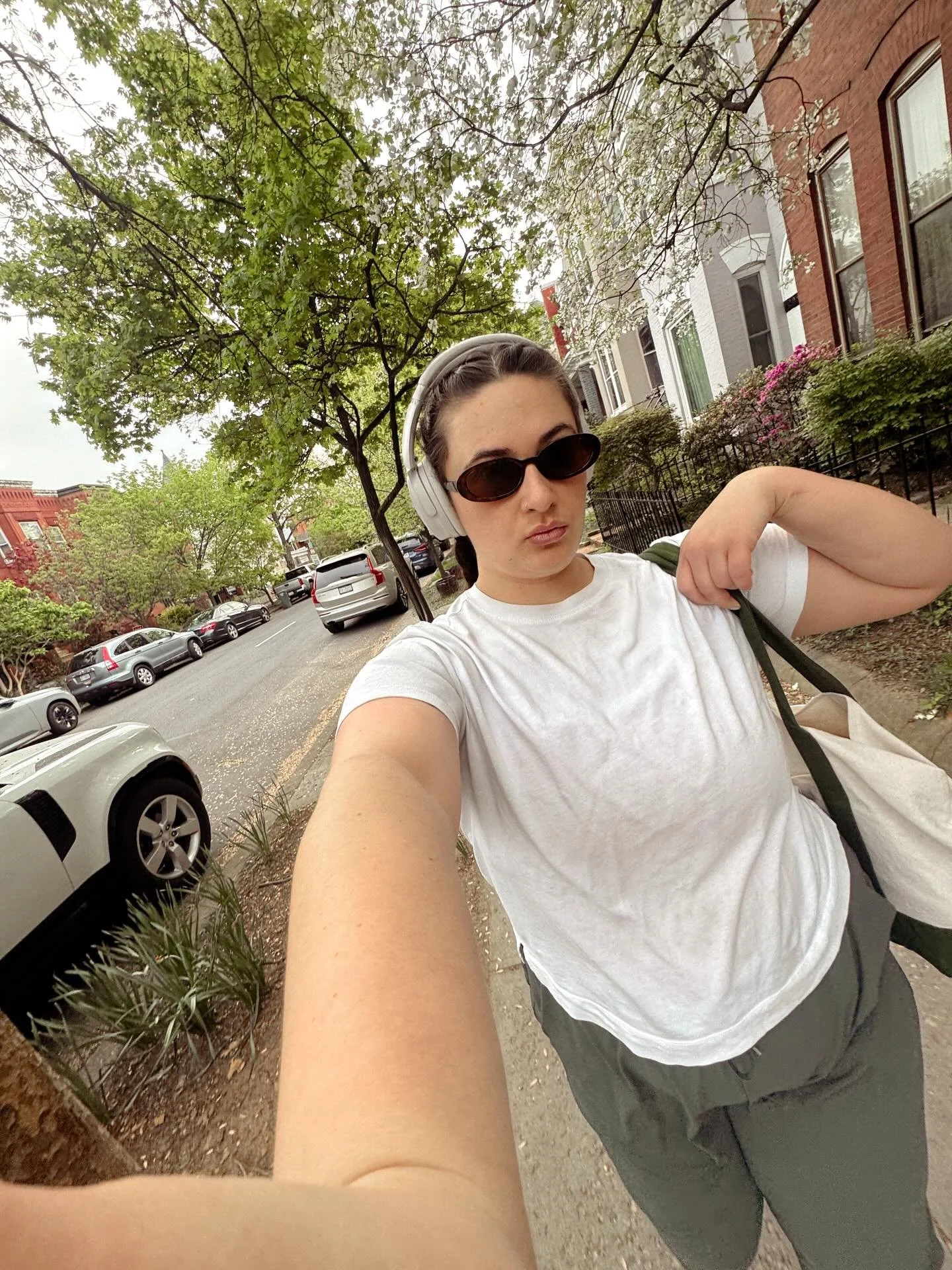 dropping hints 🌴😎🐊