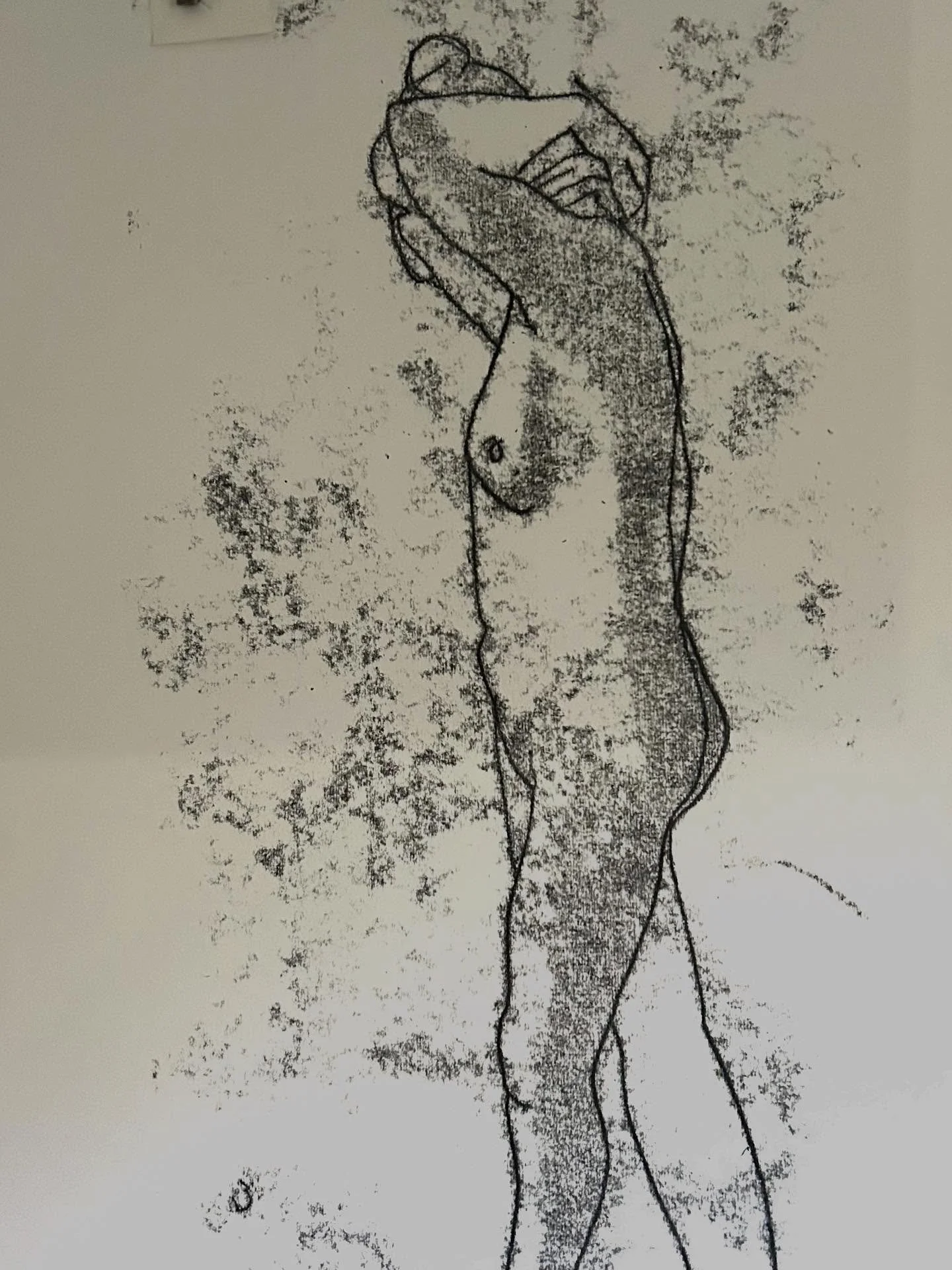 3 minute mono print.
#3minutemonoprint #lifedrawing #mondayafternoonlifedrawing #lifedrawingmeetsprintmaking