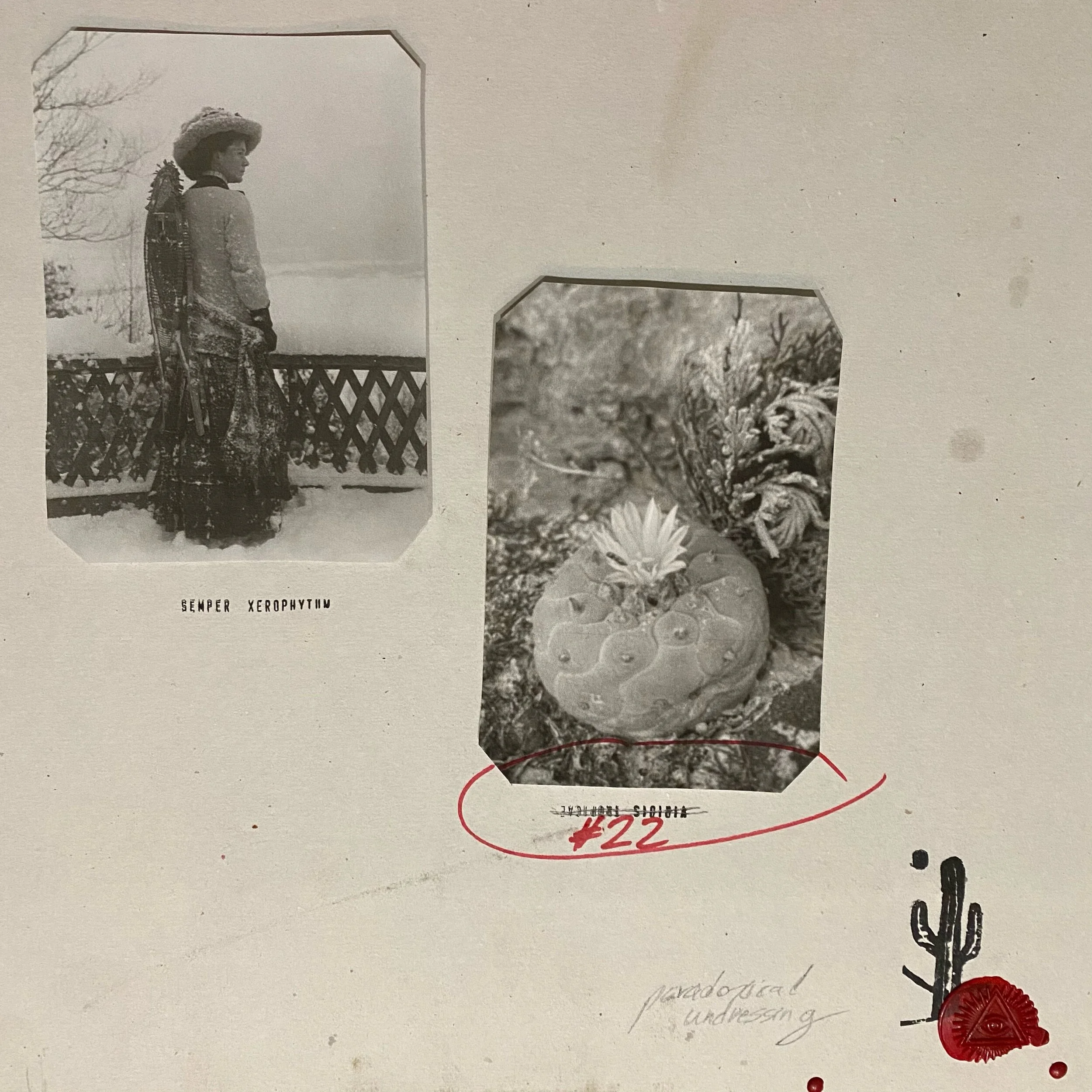 Paradoxical Undressing