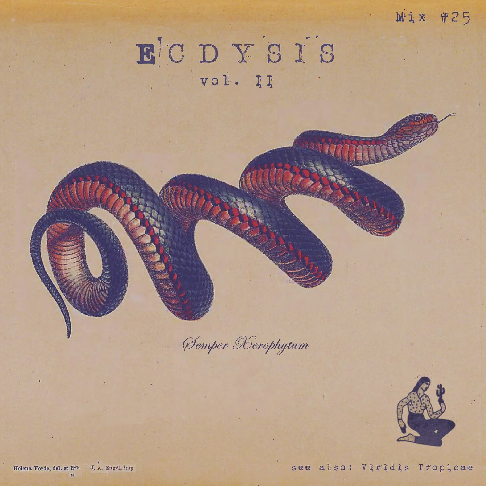 ECDYSIS vol.II