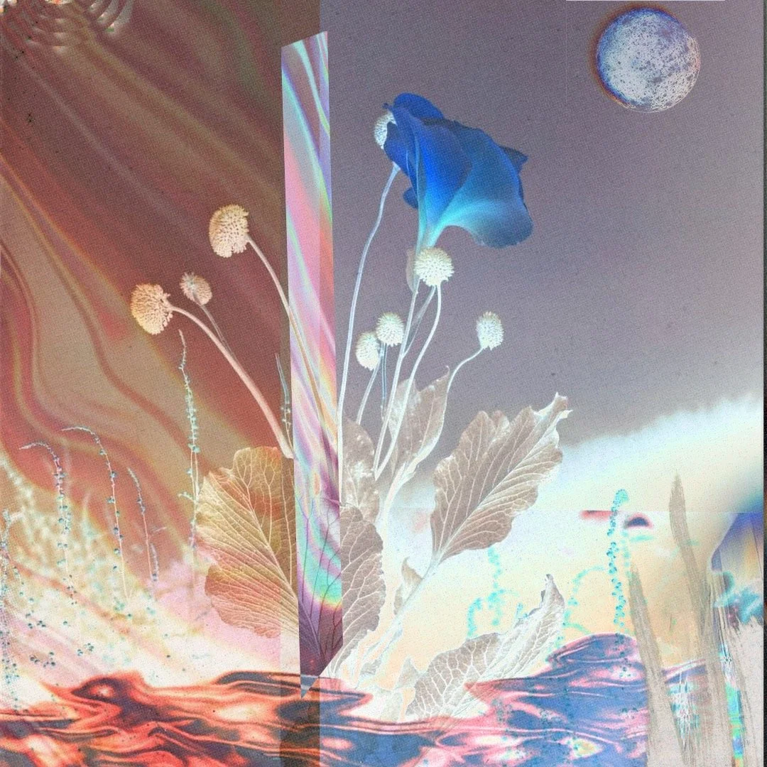 𝘐 𝘭𝘰𝘷𝘦 𝘵𝘩𝘦𝘴𝘦 𝘴𝘰𝘯𝘨𝘴 𝘮𝘰𝘳𝘦 𝘵𝘩𝘢𝘯 (𝘮𝘰𝘴𝘵 𝘰𝘧 )𝘺𝘰𝘶.     〰️ 𝕊𝕖𝕞𝕡𝕖𝕣 𝕏𝕖𝕣𝕠𝕡𝕙𝕪𝕥𝕦𝕞’𝕤 𝔹𝕖𝕤𝕥 𝕠𝕗 ᒿᦲᒿᔰ