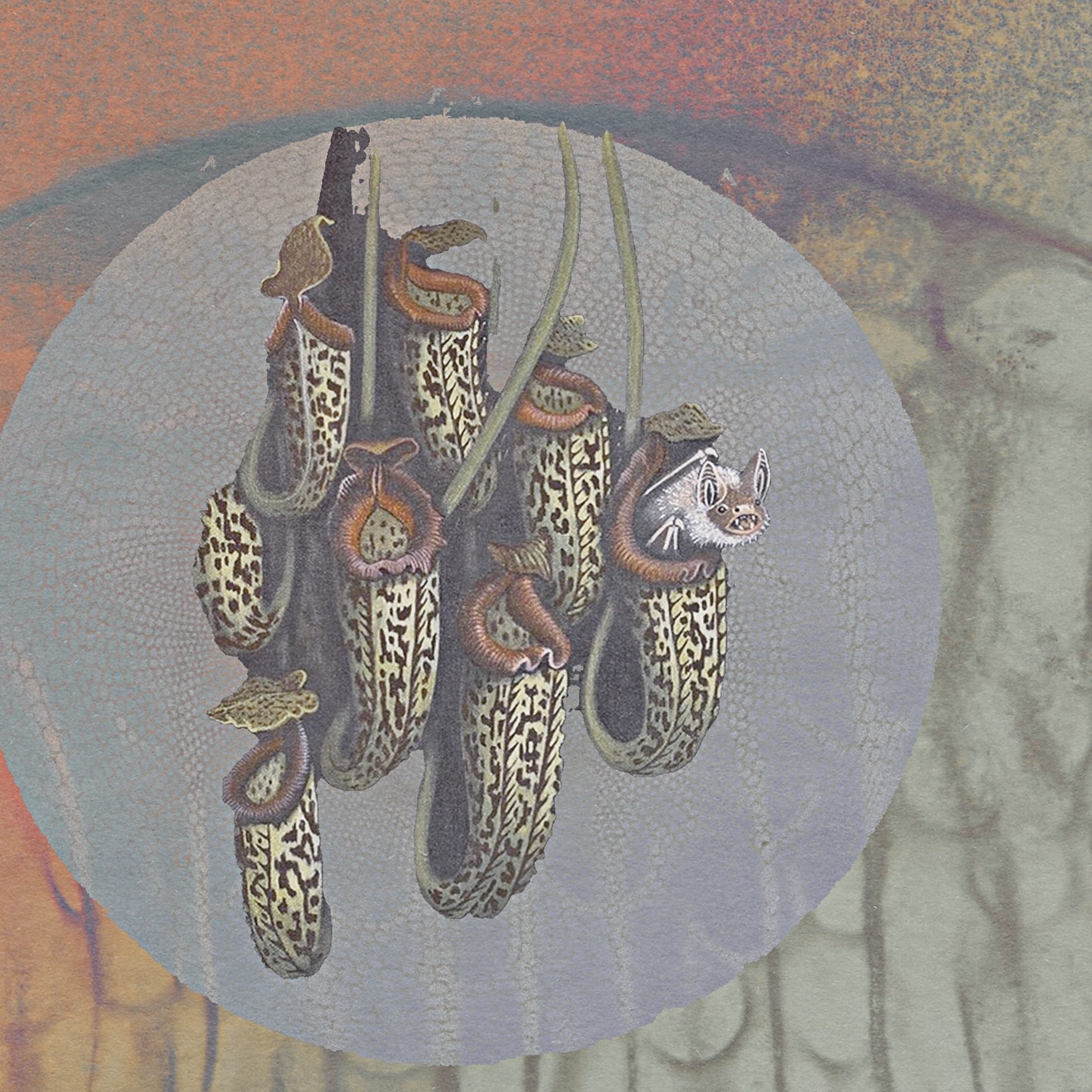  𝐷𝑖𝑒𝑔𝑒𝑡𝑖𝑐 𝑇ℎ𝑒𝑟𝑎𝑝𝑦