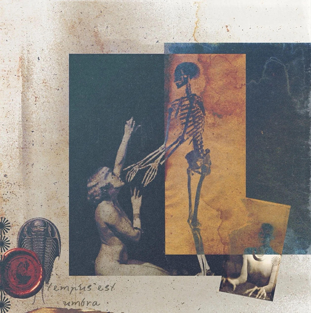 ✺✺ ✺✺ ✺✺