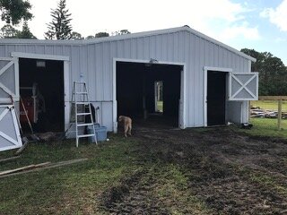 early barn entrance.jpeg