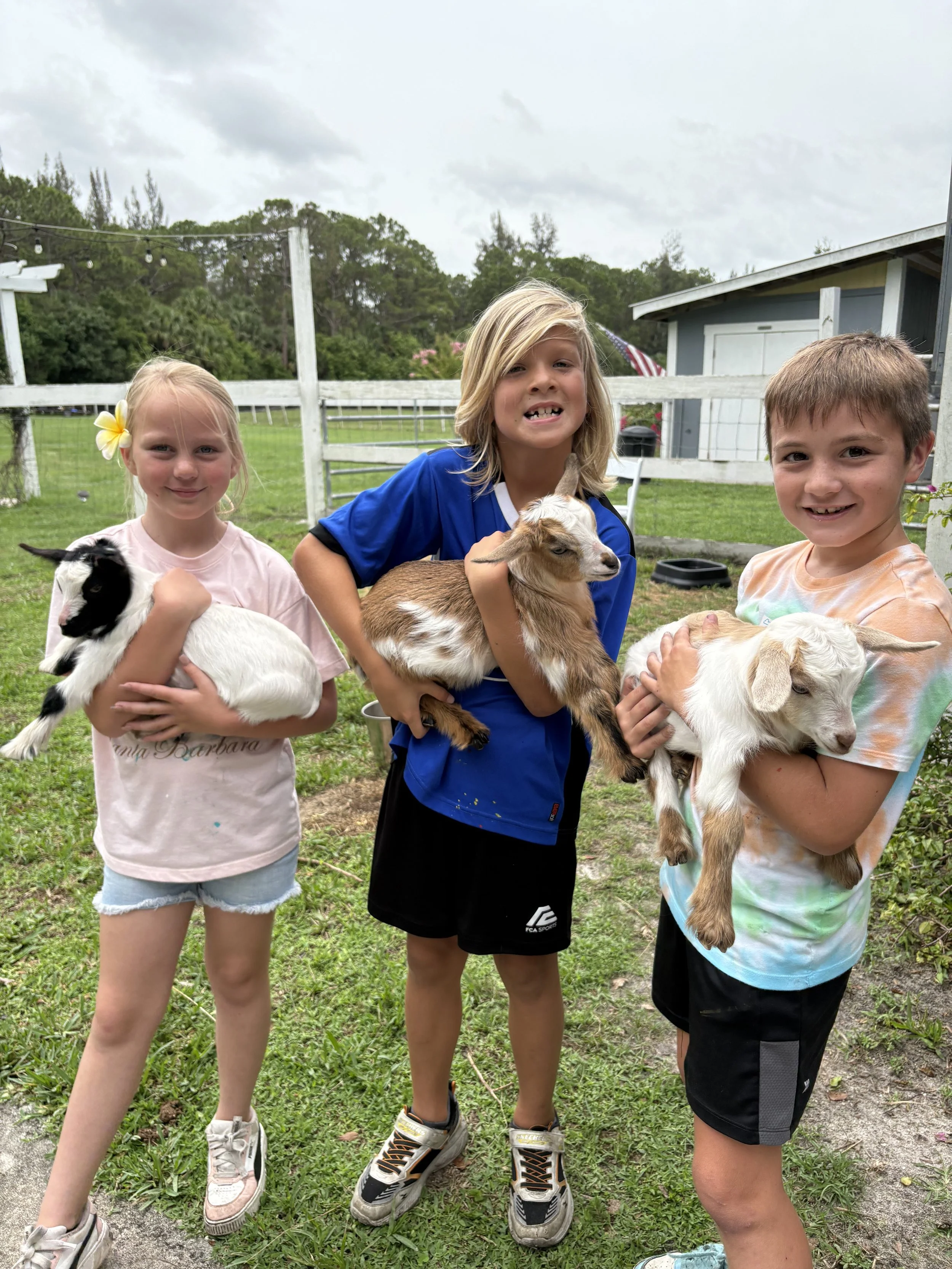 goats camp.jpeg
