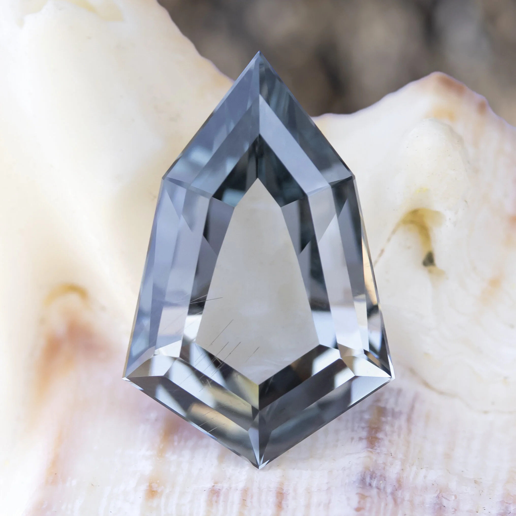 Gray spinel kite portrait