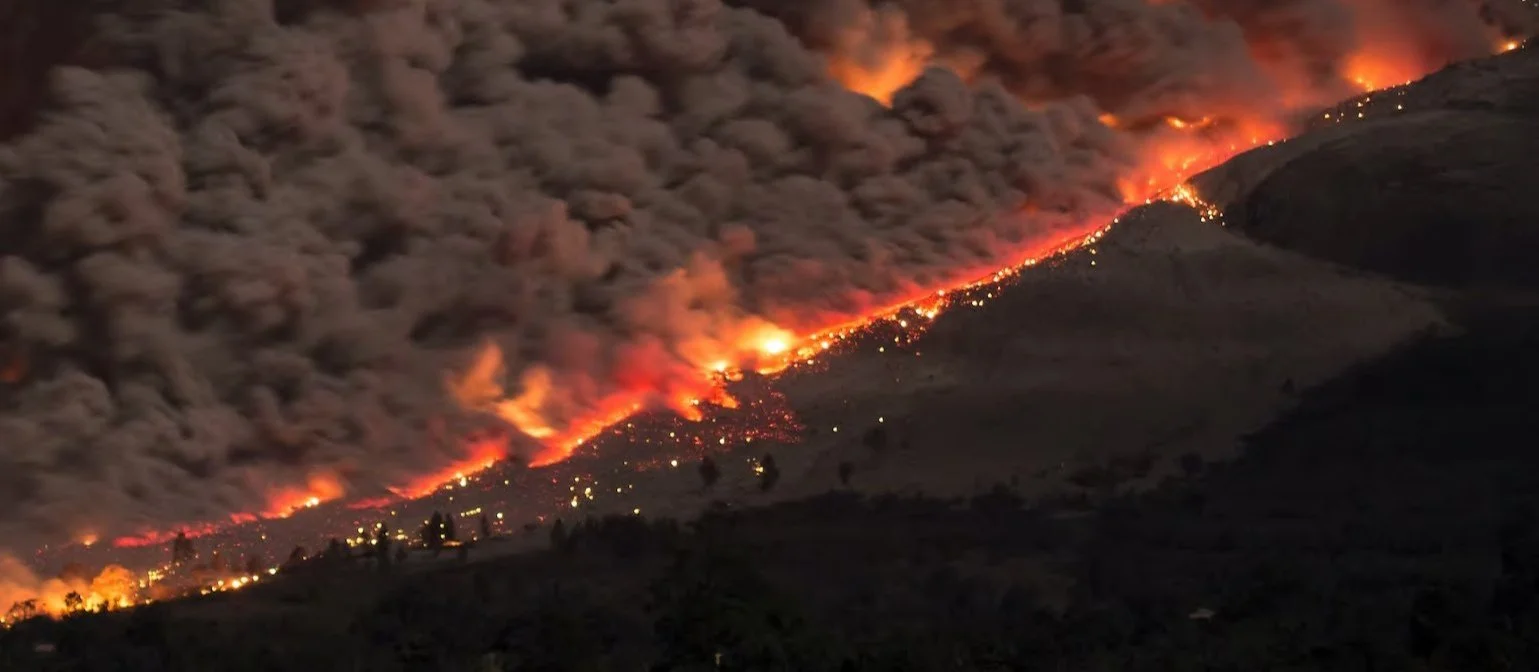 S-290 Intermediate Fire Behavior