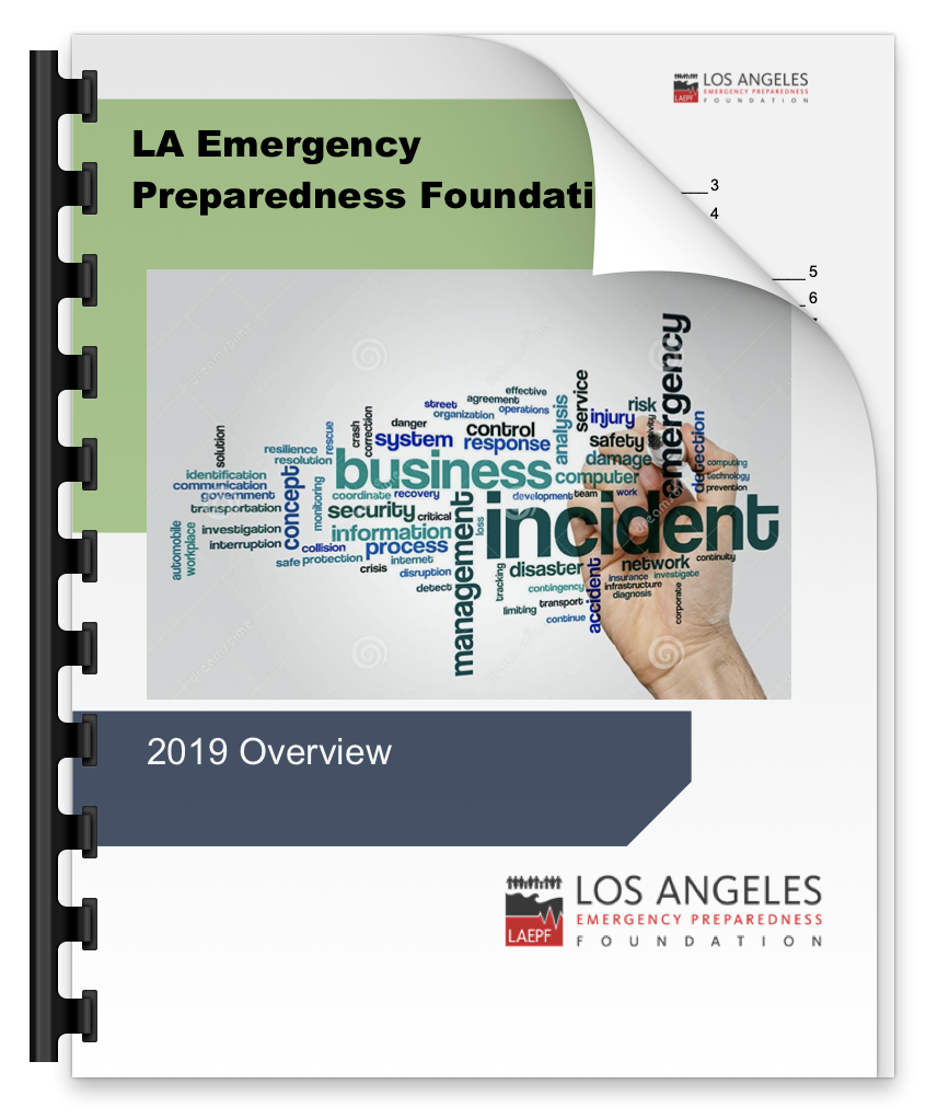 2019 LAEPF Overview Report.pdf