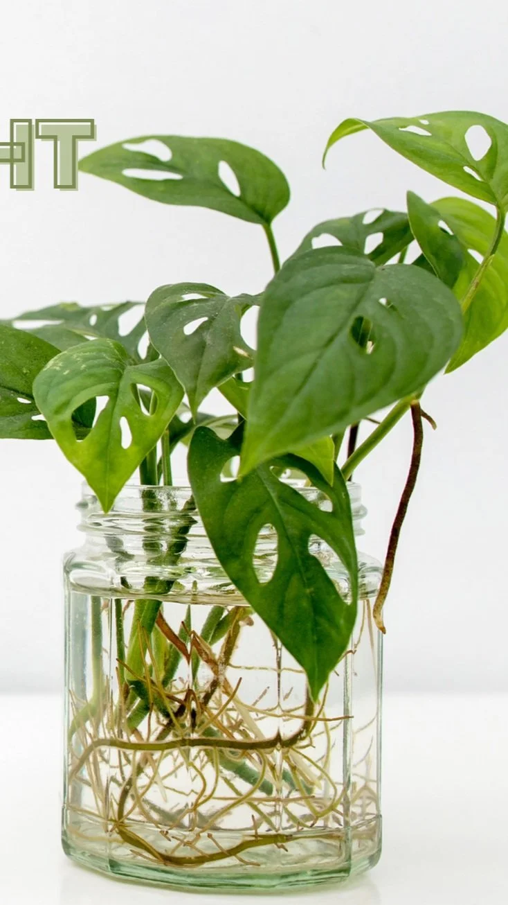 April '23 Villebois Ladies Night!