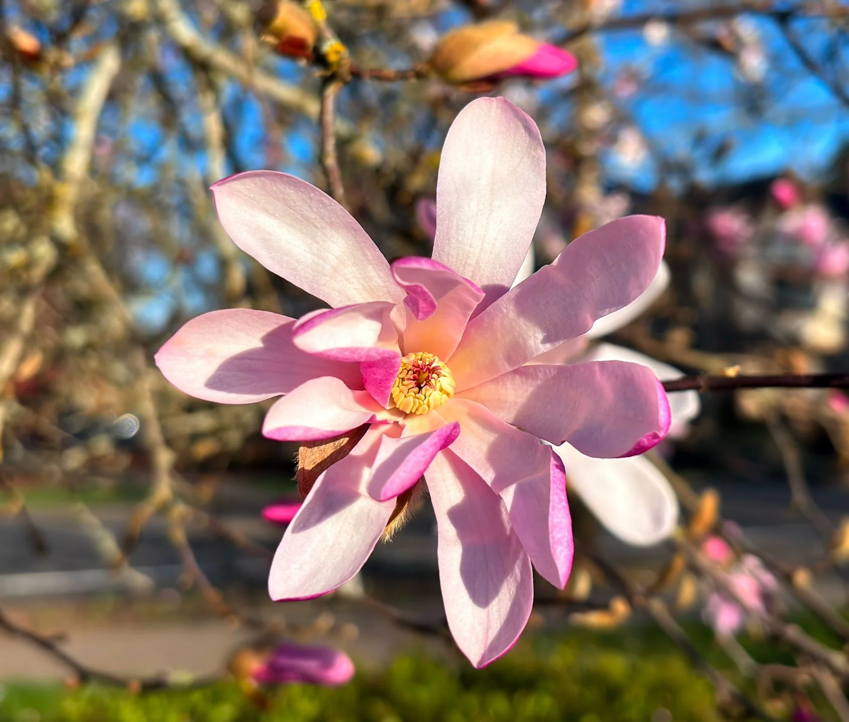 VIllebois Homes for sale