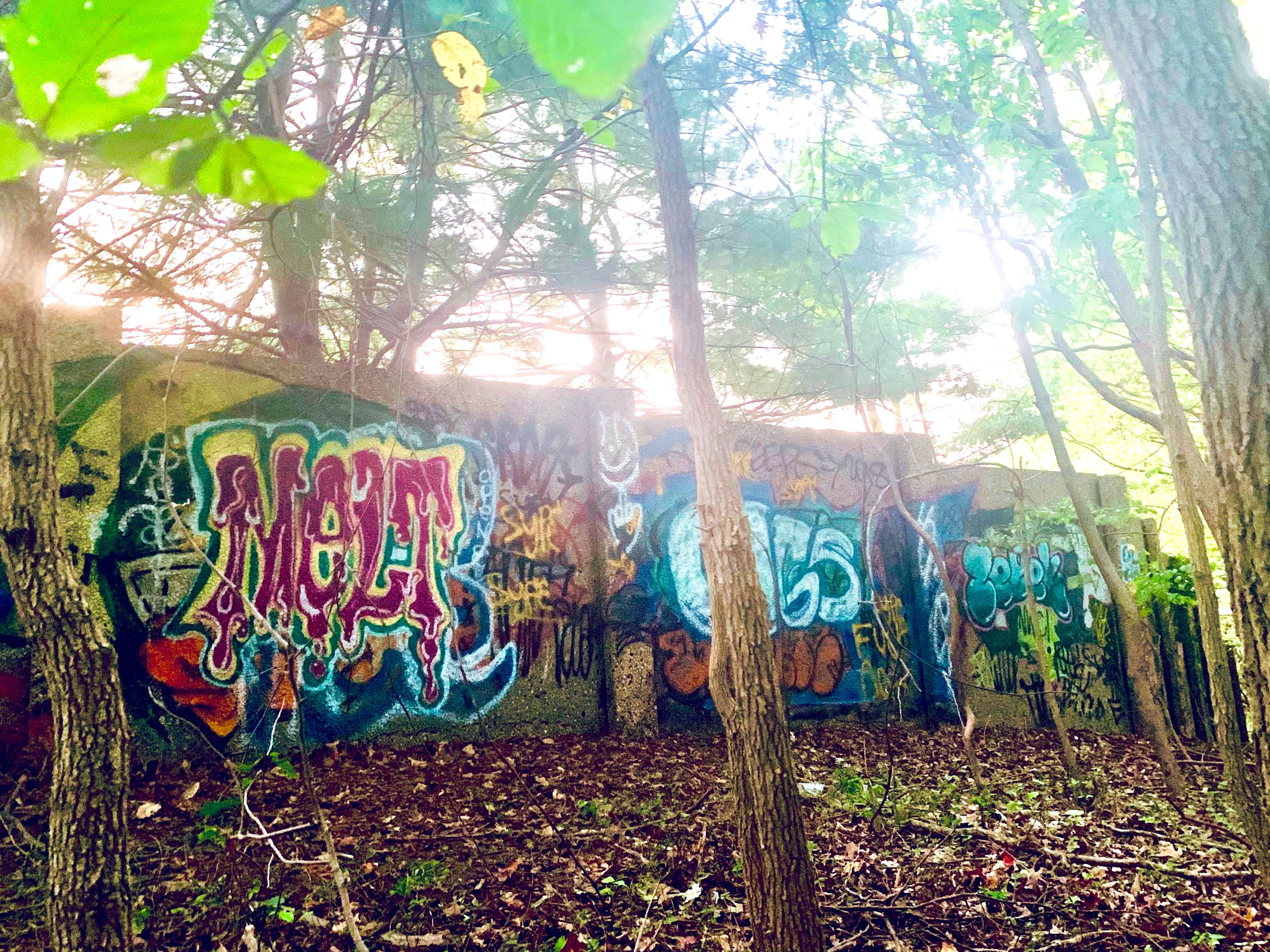MELT • Swarthmore, Penna • Aerosol, 2019