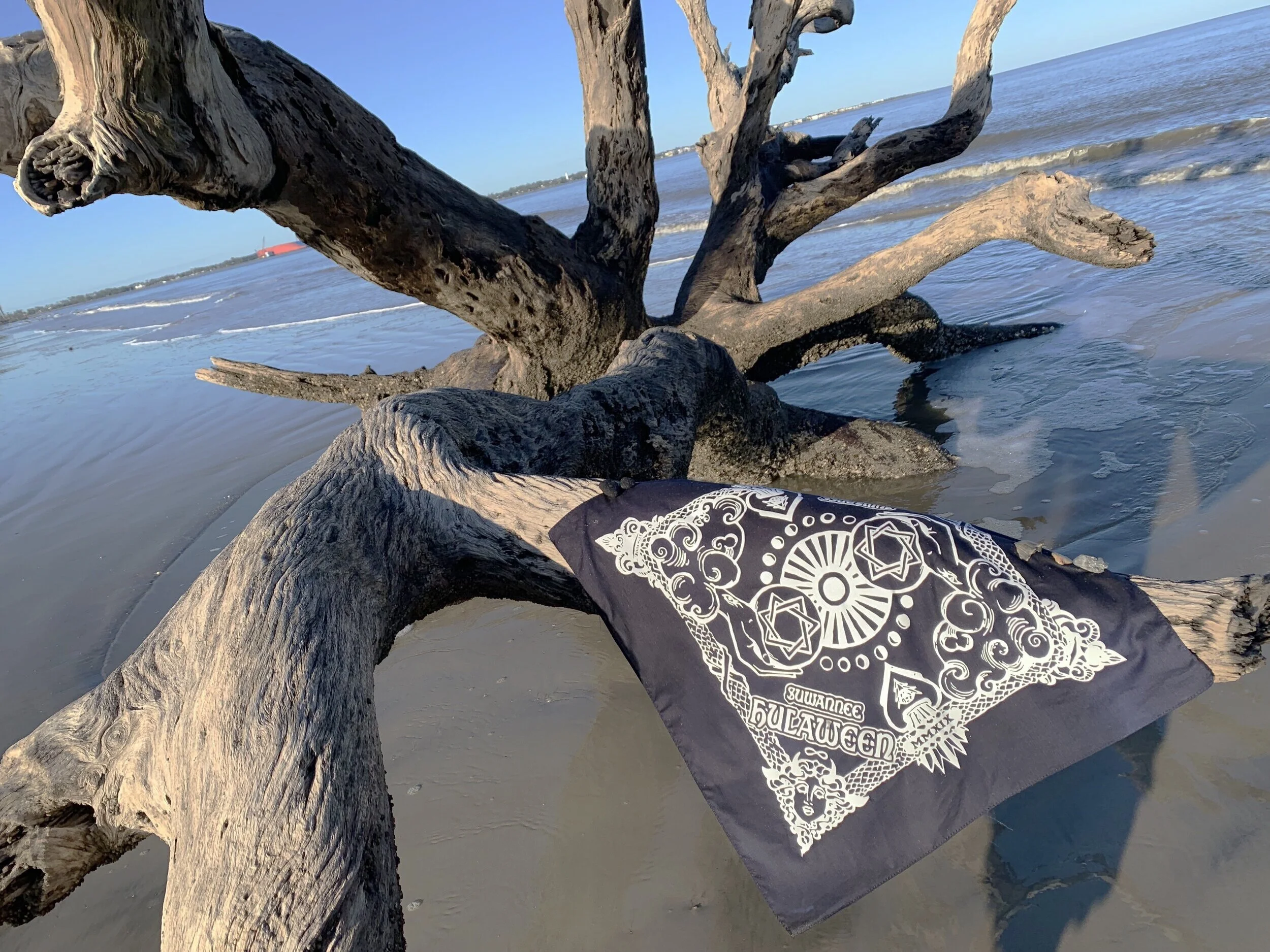 IMG_0581.jpg