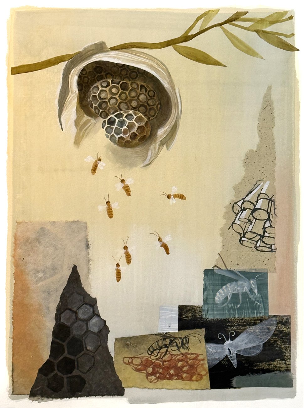 Wasp nest collage