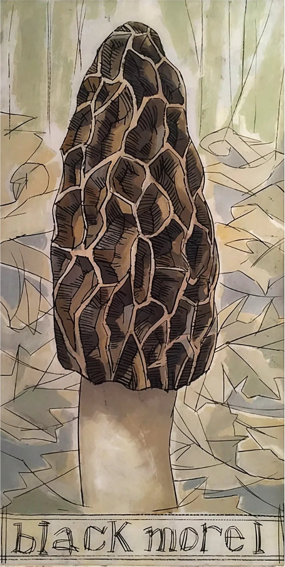 Black Morel