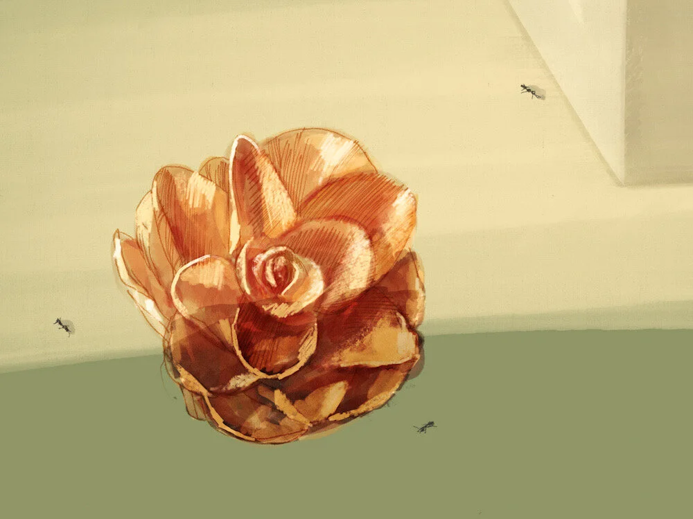 Decaying Camellias - 2 studies