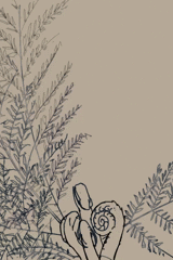 Fiddlehead Unfurling (crozier gif image)