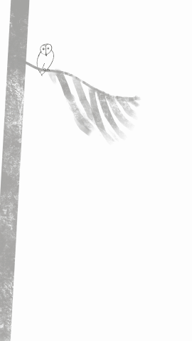 The Owl and the Beanie