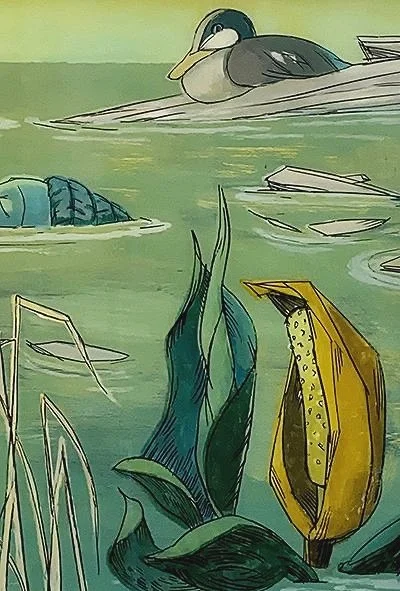 Swamp Flower (Spathe & Spadix)