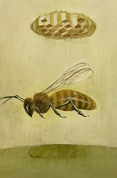 Tiered Hive - study 1