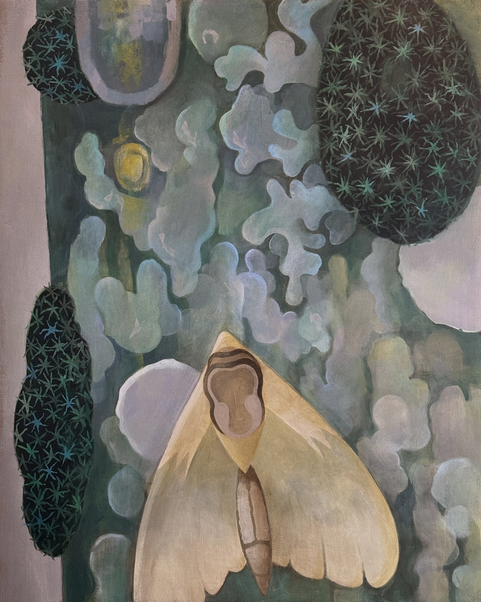 Moth by Moonlight