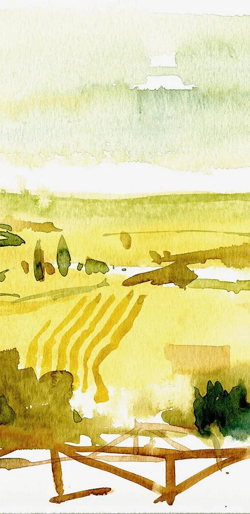 Le Crete Senesi
