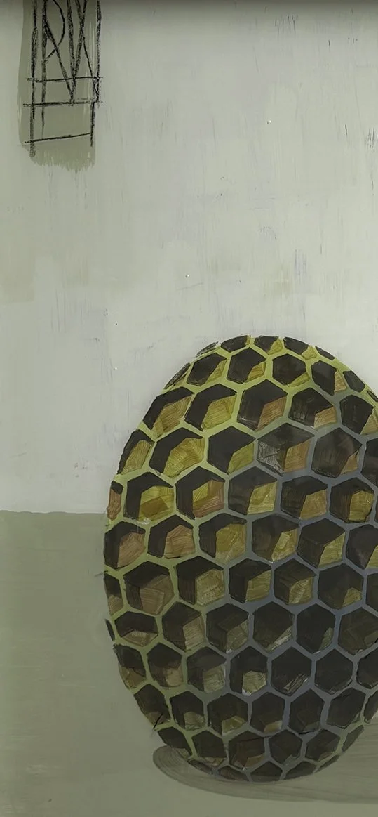 Cells / Folds