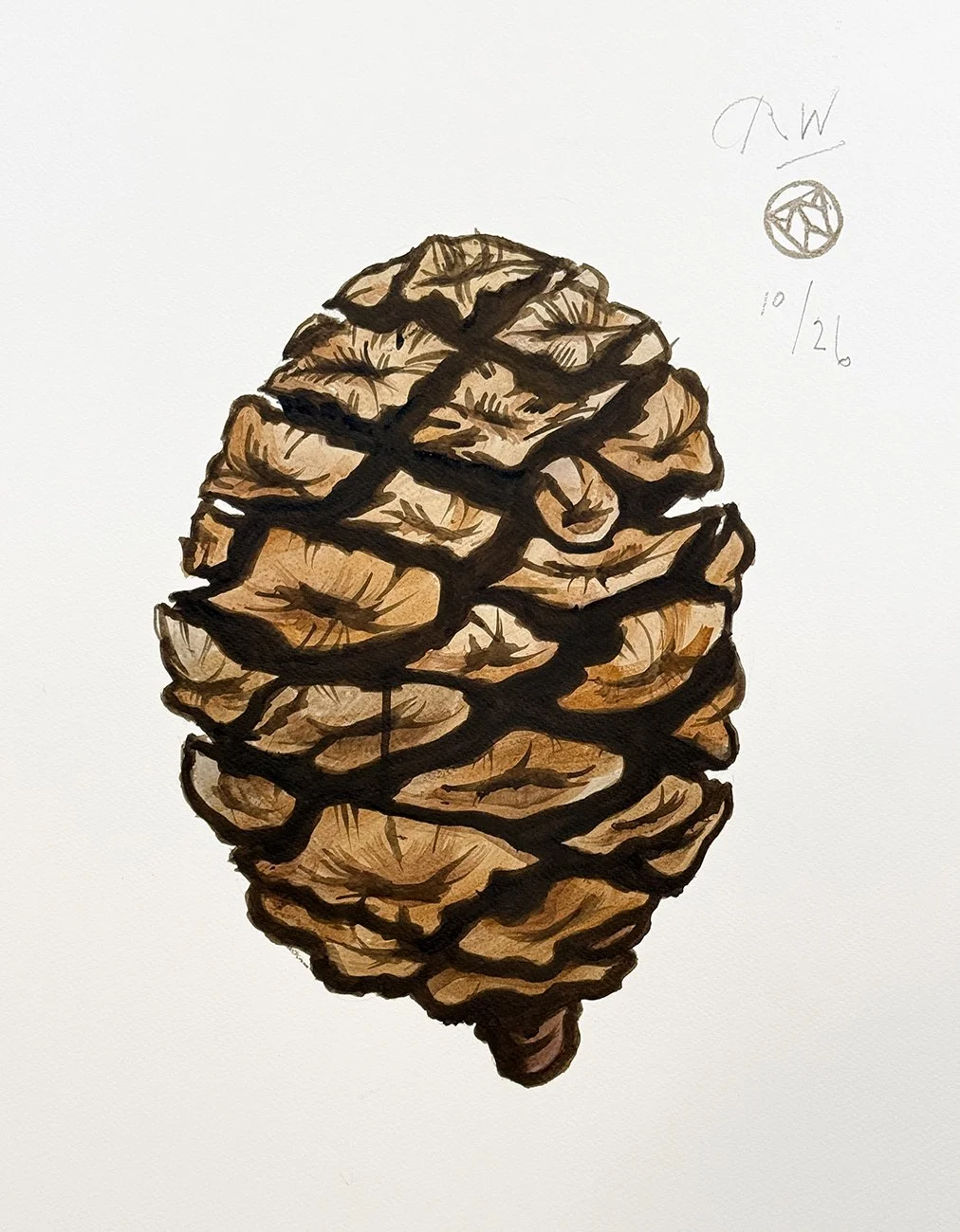 Pine Cone (Pucker 1)