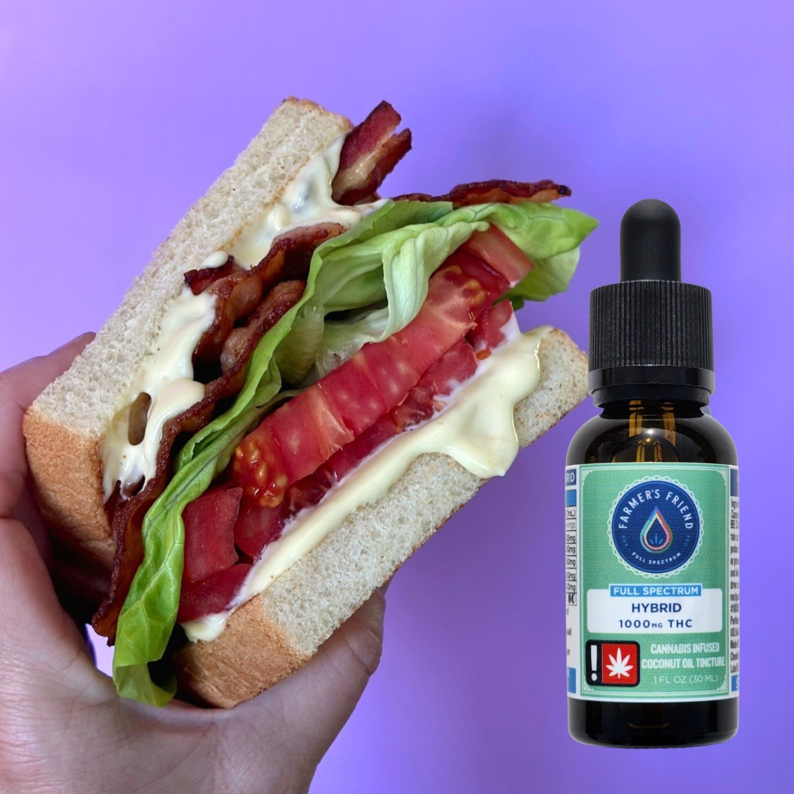 Recipe for Homemade Cannabis Infused Aioli