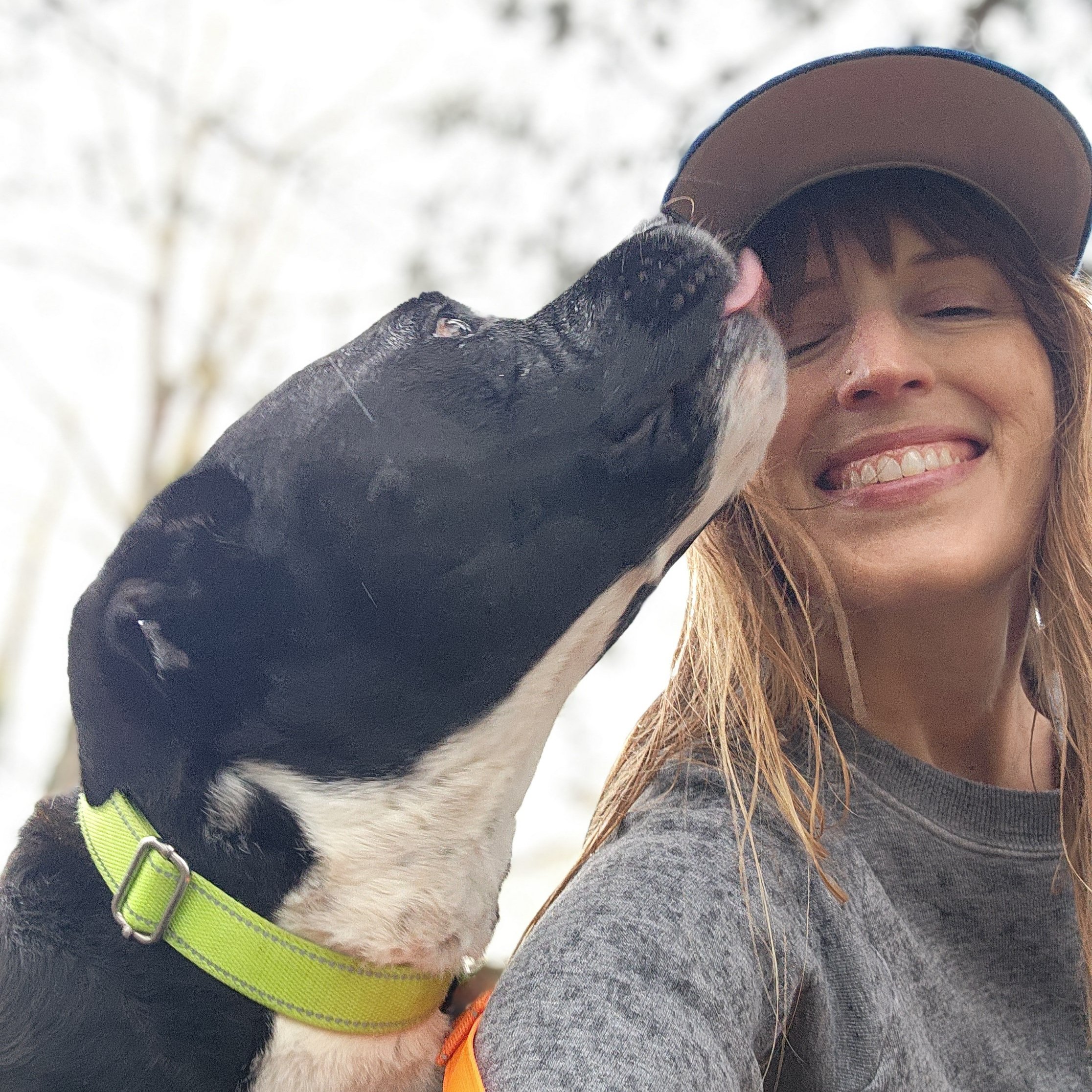 Volunteer Spotlight: Multnomah County Animal Services