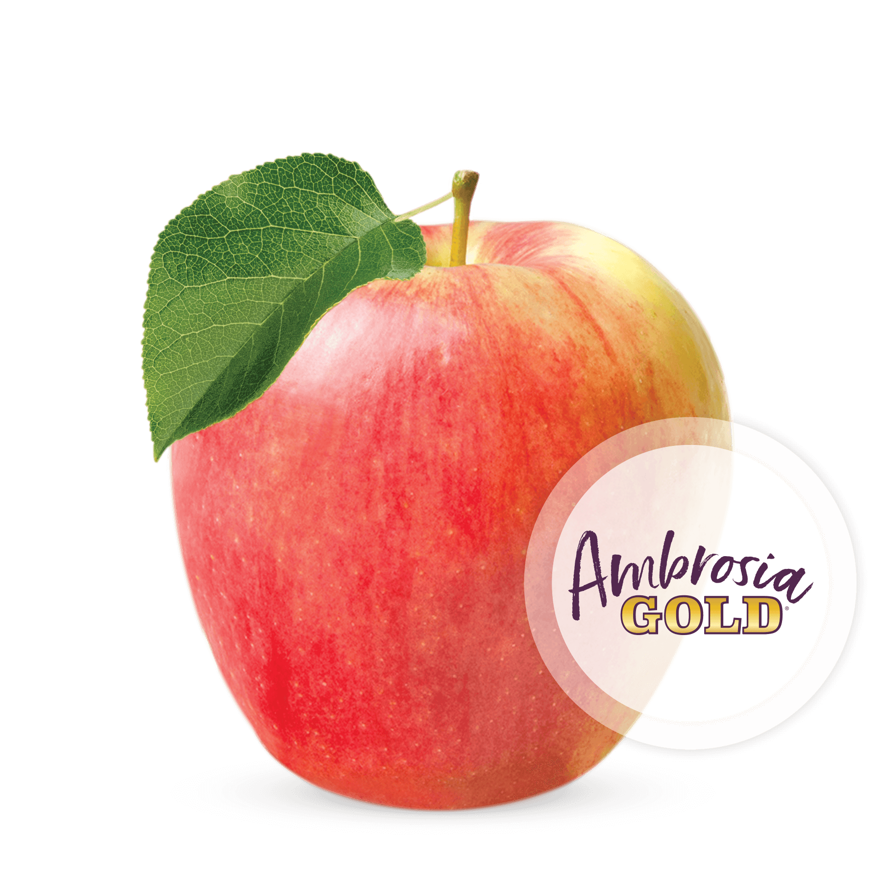 AmbrosiaGold-Logo.png