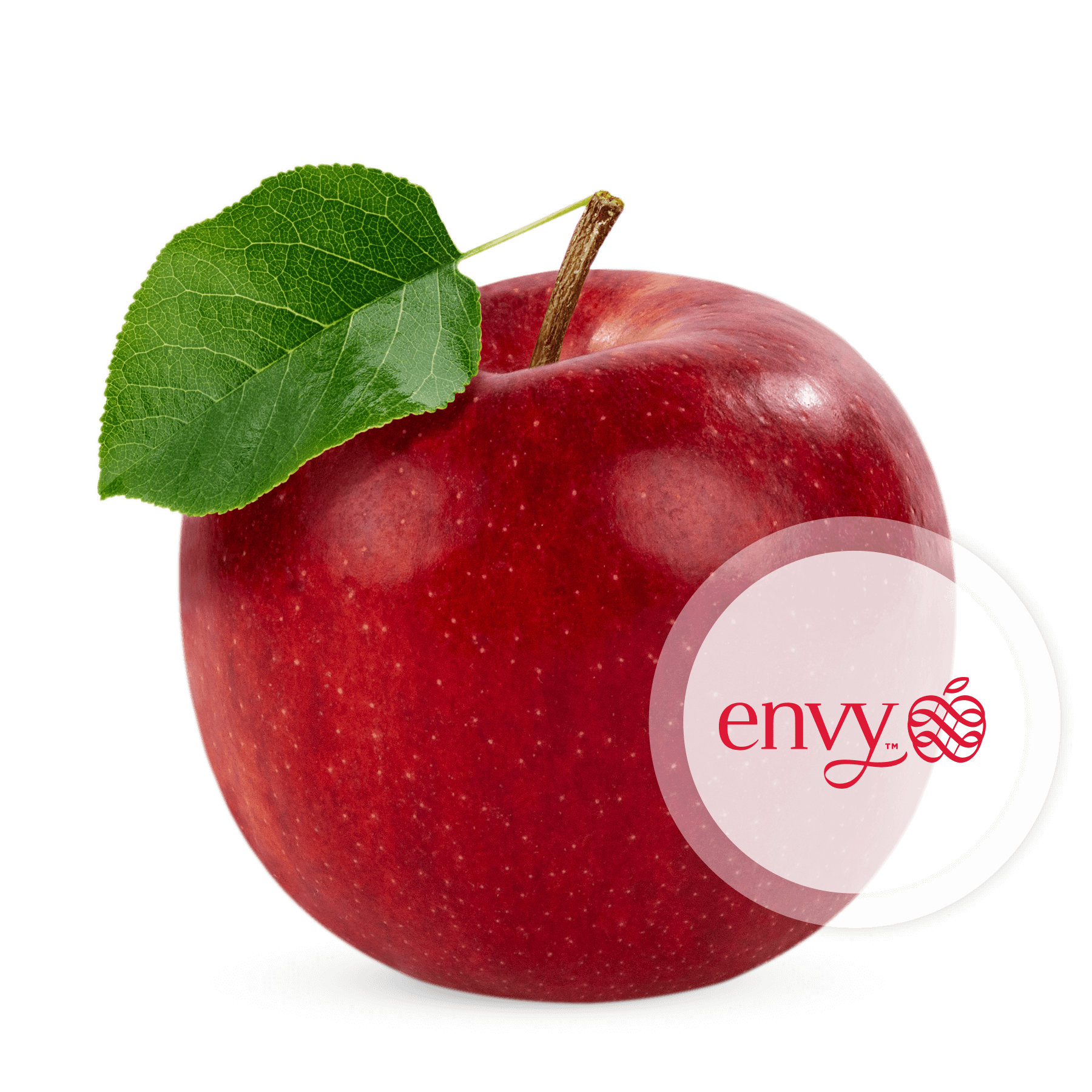 Envy-Logo.png