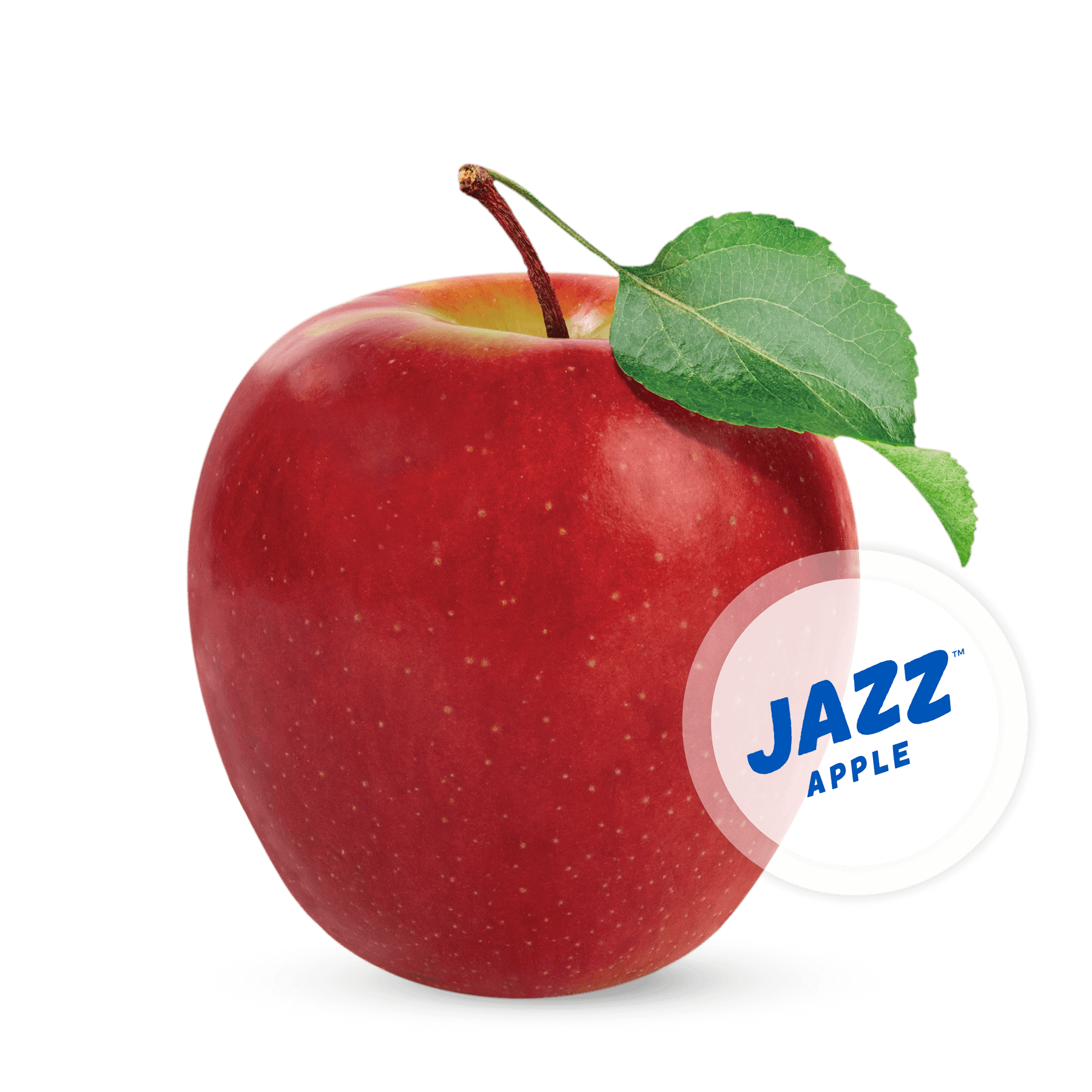 Jazz-Logo.png