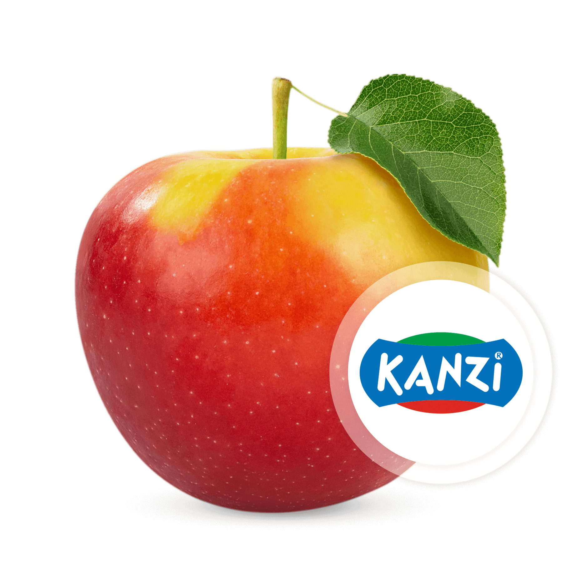 Kanzi-Logo.png