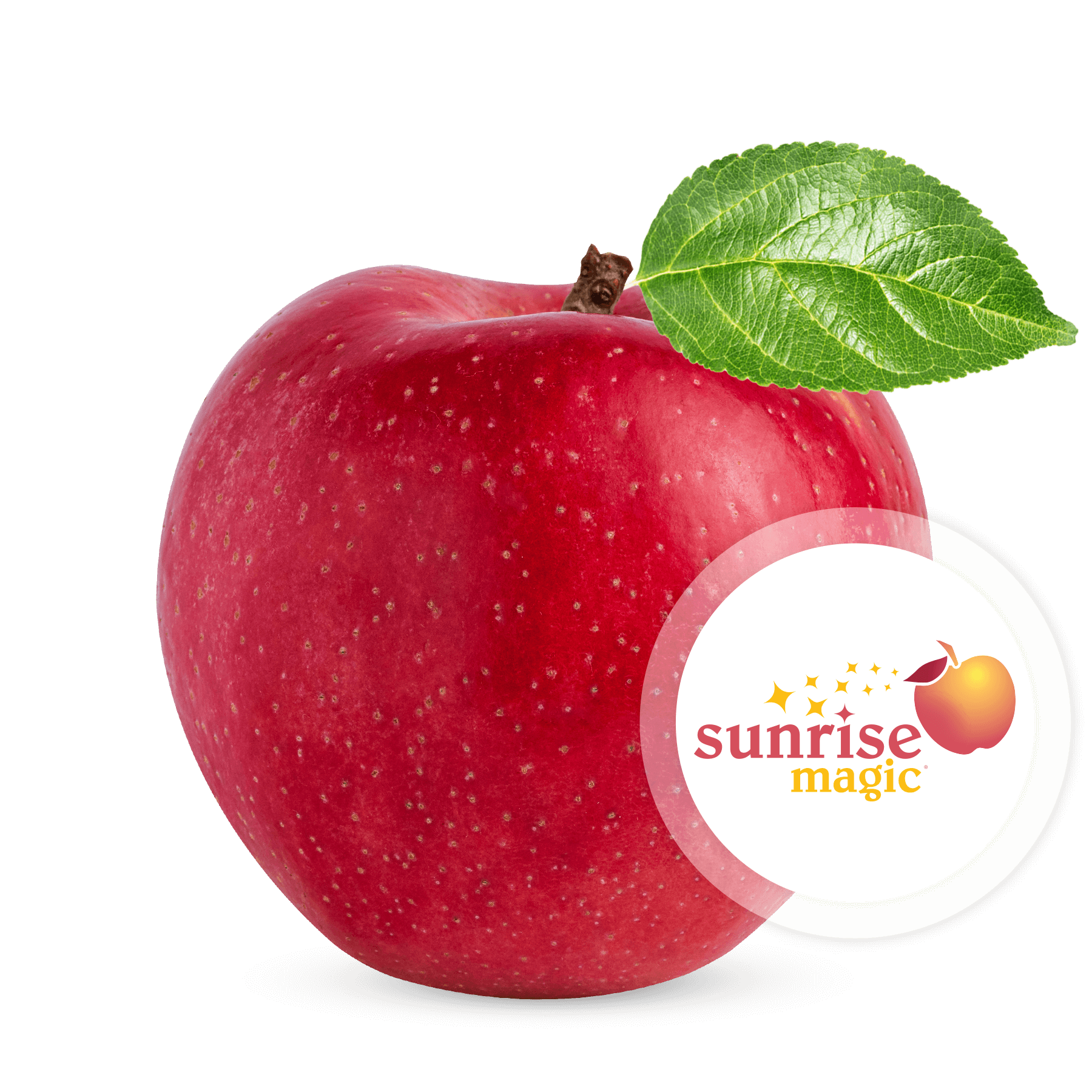 SunriseMagic-Logo.png