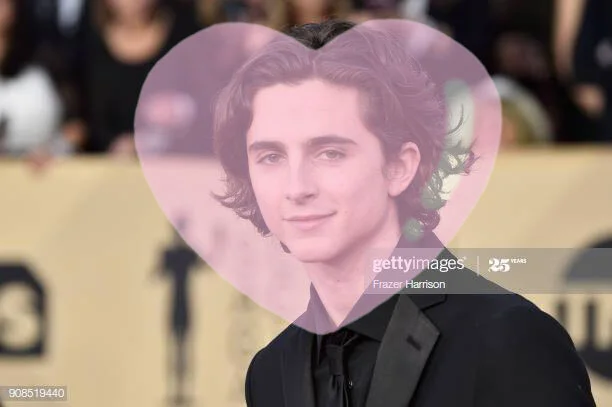 13 Reasons Why I Deserve To Fuck Timothée Chalamet
