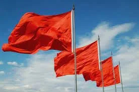 Red Flags That Didn’t Make It Onto The Zoom Screen