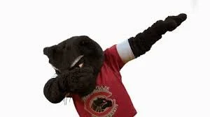 SOS: DO NOT CLICK ON THE POLLS FOR THE PANTHER!