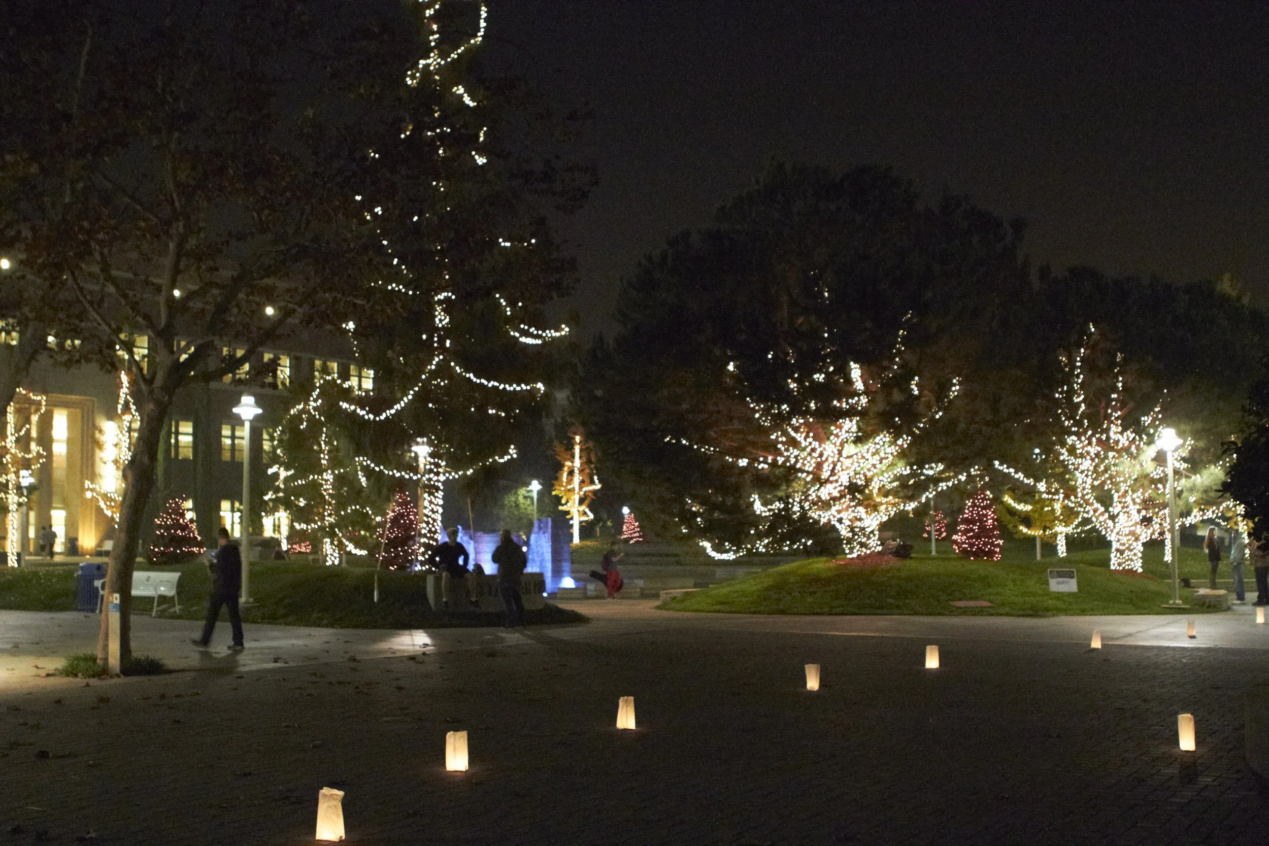 My Review of Night at Chapman