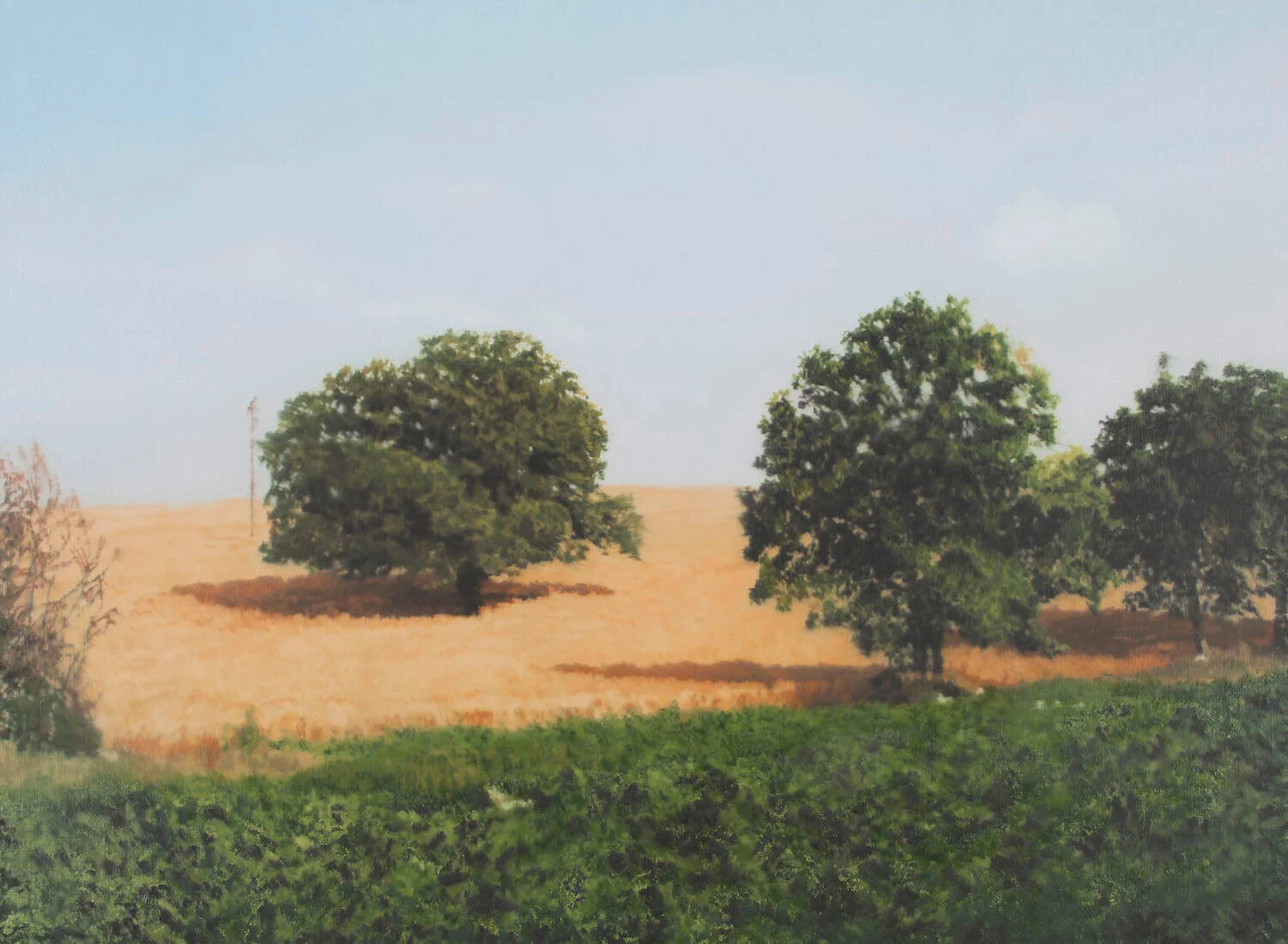 Christie's: Monet and Richter: Blurring the Lines