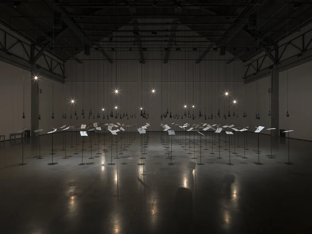 Dallas Contemporary: Shilpa Gupta "For, In Your Tongue, I Cannot Fit