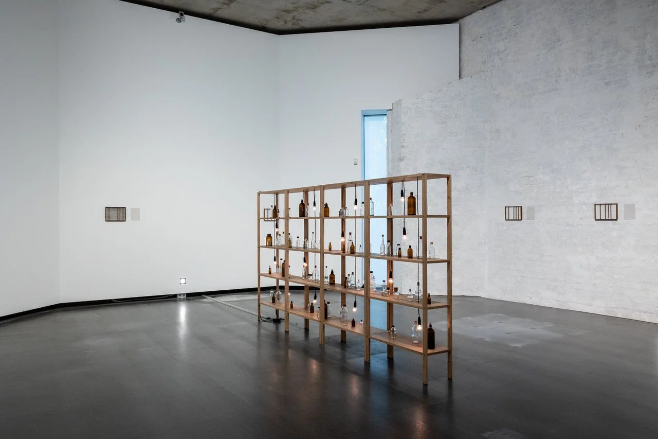 Juliet Art Magazine: Shilpa Gupta: we last met in the mirror