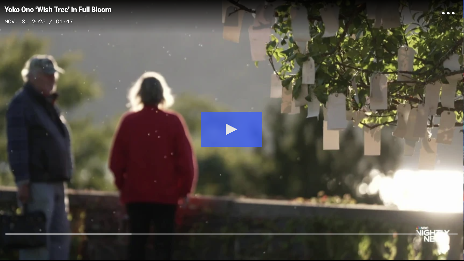 NBC News: Yoko Ono ‘Wish Tree’ in Full Bloom