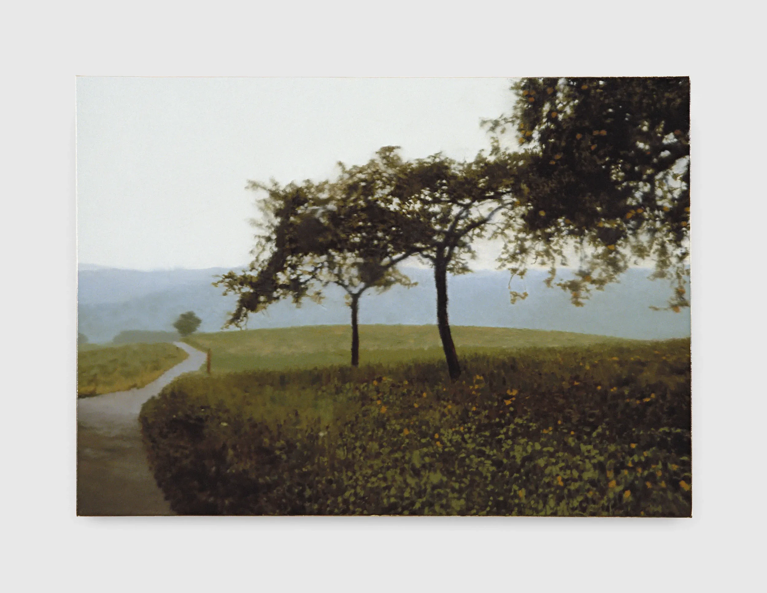 Brooklyn Rail: Gerhard Richter: Landschaften