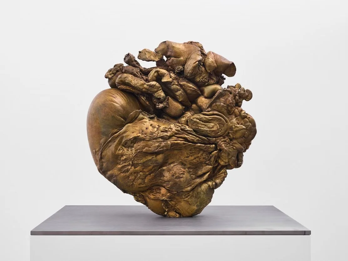 Le Monde: At Montpellier's MoCo museum, Kiki Smith explores our animal nature